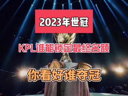 了国际社会